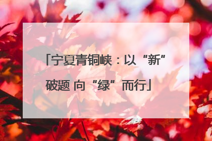 宁夏青铜峡：以“新”破题 向“绿”而行