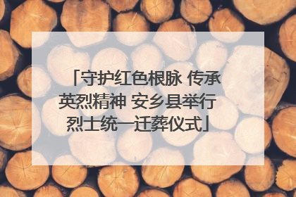 守护红色根脉 传承英烈精神 安乡县举行烈士统一迁葬仪式