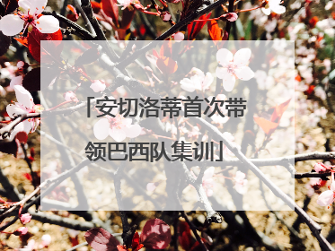 安切洛蒂首次带领巴西队集训