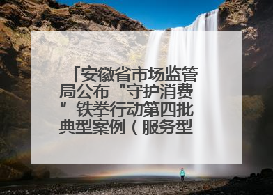 安徽省市场监管局公布“守护消费”铁拳行动第四批典型案例（服务型执法专刊）