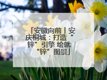 安徽向前丨安庆桐城：打造“锌”引擎 绘就“锌”图景