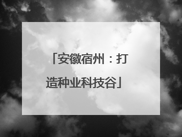 安徽宿州：打造种业科技谷