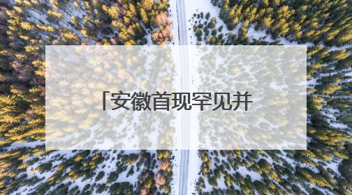 安徽首现罕见并蒂睡莲 概率仅为百万分之一