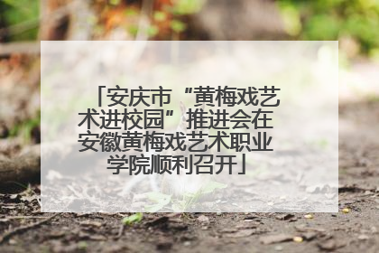 安庆市“黄梅戏艺术进校园”推进会在安徽黄梅戏艺术职业学院顺利召开