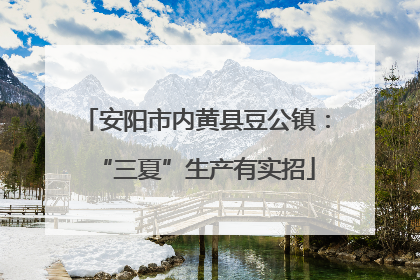安阳市内黄县豆公镇：“三夏”生产有实招