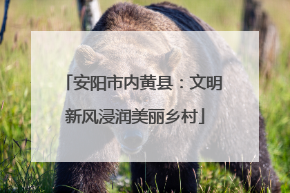 安阳市内黄县：文明新风浸润美丽乡村