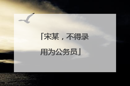 宋某，不得录用为公务员