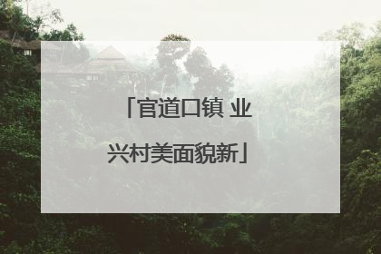官道口镇 业兴村美面貌新