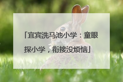 宜宾洗马池小学：童眼探小学，衔接没烦恼