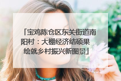 宝鸡陈仓区东关街道南阳村：大棚经济结硕果 绘就乡村振兴新图景