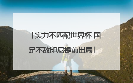 实力不匹配世界杯 国足不敌印尼提前出局