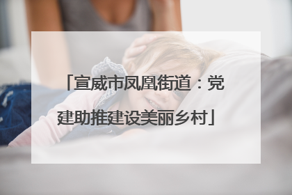 宣威市凤凰街道：党建助推建设美丽乡村