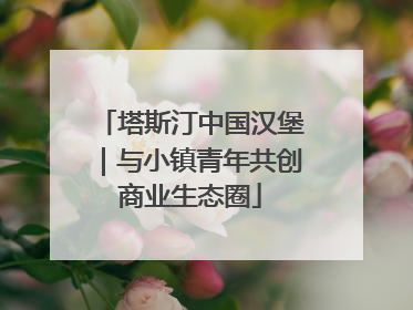 塔斯汀中国汉堡｜与小镇青年共创商业生态圈