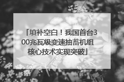 填补空白！我国首台300兆瓦级变速抽蓄机组核心技术实现突破