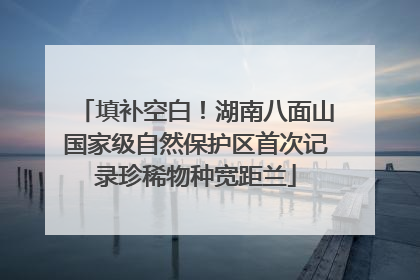 填补空白！湖南八面山国家级自然保护区首次记录珍稀物种宽距兰