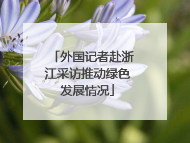外国记者赴浙江采访推动绿色发展情况