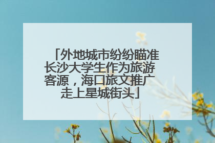 外地城市纷纷瞄准长沙大学生作为旅游客源，海口旅文推广走上星城街头
