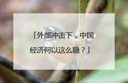 外部冲击下，中国经济何以这么稳？