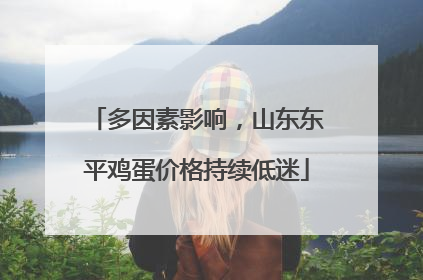 多因素影响，山东东平鸡蛋价格持续低迷