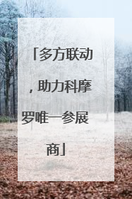 多方联动，助力科摩罗唯一参展商