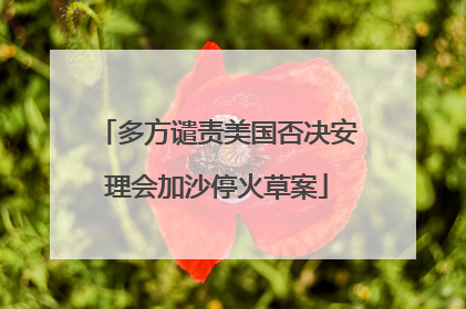 多方谴责美国否决安理会加沙停火草案