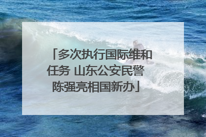 多次执行国际维和任务 山东公安民警陈强亮相国新办