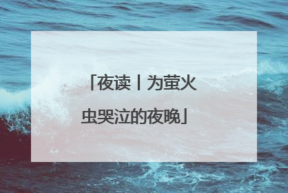 夜读丨为萤火虫哭泣的夜晚