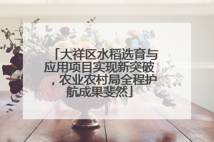 大祥区水稻选育与应用项目实现新突破，农业农村局全程护航成果斐然