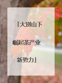 大别山下崛起茶产业新势力
