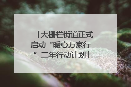 大栅栏街道正式启动“暖心万家行”三年行动计划