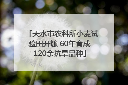 天水市农科所小麦试验田开镰 60年育成120余抗旱品种