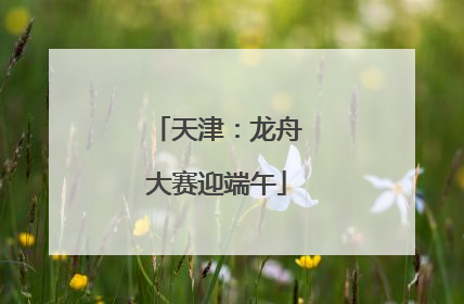 天津：龙舟大赛迎端午