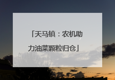天马镇：农机助力油菜颗粒归仓