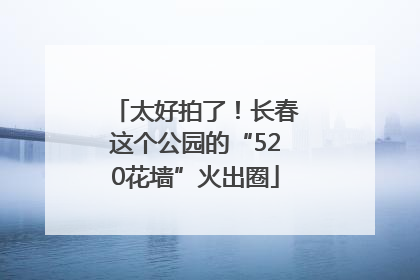 太好拍了！长春这个公园的“520花墙”火出圈