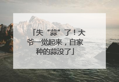 失“蒜”了！大爷一觉起来，自家种的蒜没了