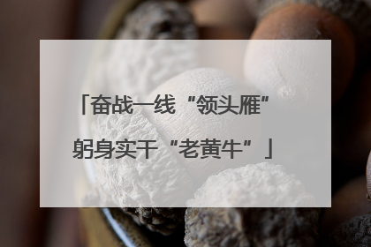 奋战一线“领头雁” 躬身实干“老黄牛”