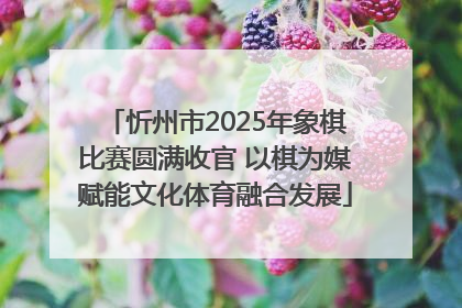 忻州市2025年象棋比赛圆满收官 以棋为媒赋能文化体育融合发展