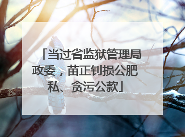 当过省监狱管理局政委，苗正钊损公肥私、贪污公款