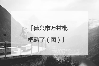 德兴市万村枇杷熟了（图）