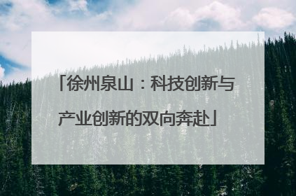 徐州泉山：科技创新与产业创新的双向奔赴
