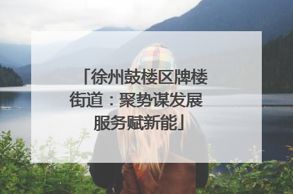 徐州鼓楼区牌楼街道：聚势谋发展 服务赋新能