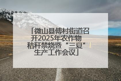 微山县傅村街道召开2025年农作物秸秆禁烧暨“三夏”生产工作会议