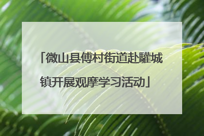 微山县傅村街道赴驩城镇开展观摩学习活动