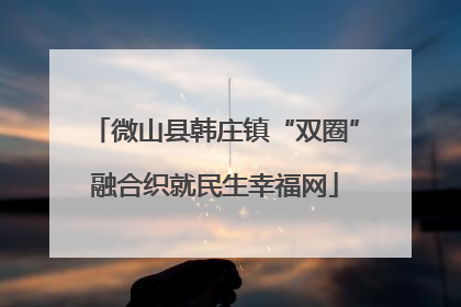 微山县韩庄镇“双圈”融合织就民生幸福网
