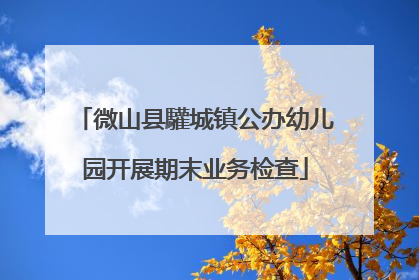 微山县驩城镇公办幼儿园开展期末业务检查