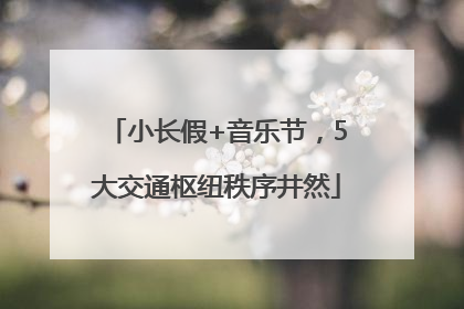 小长假+音乐节，5大交通枢纽秩序井然