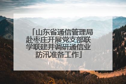 山东省通信管理局赴枣庄开展党支部联学联建并调研通信业防汛准备工作