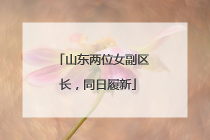 山东两位女副区长，同日履新
