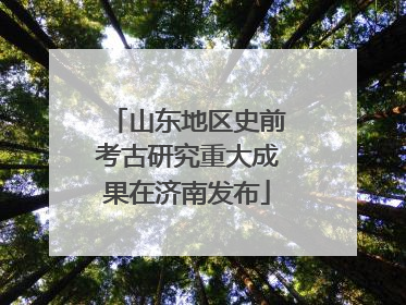 山东地区史前考古研究重大成果在济南发布