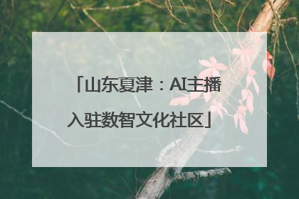 山东夏津：AI主播入驻数智文化社区